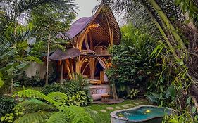 Wahem Eco Bamboo